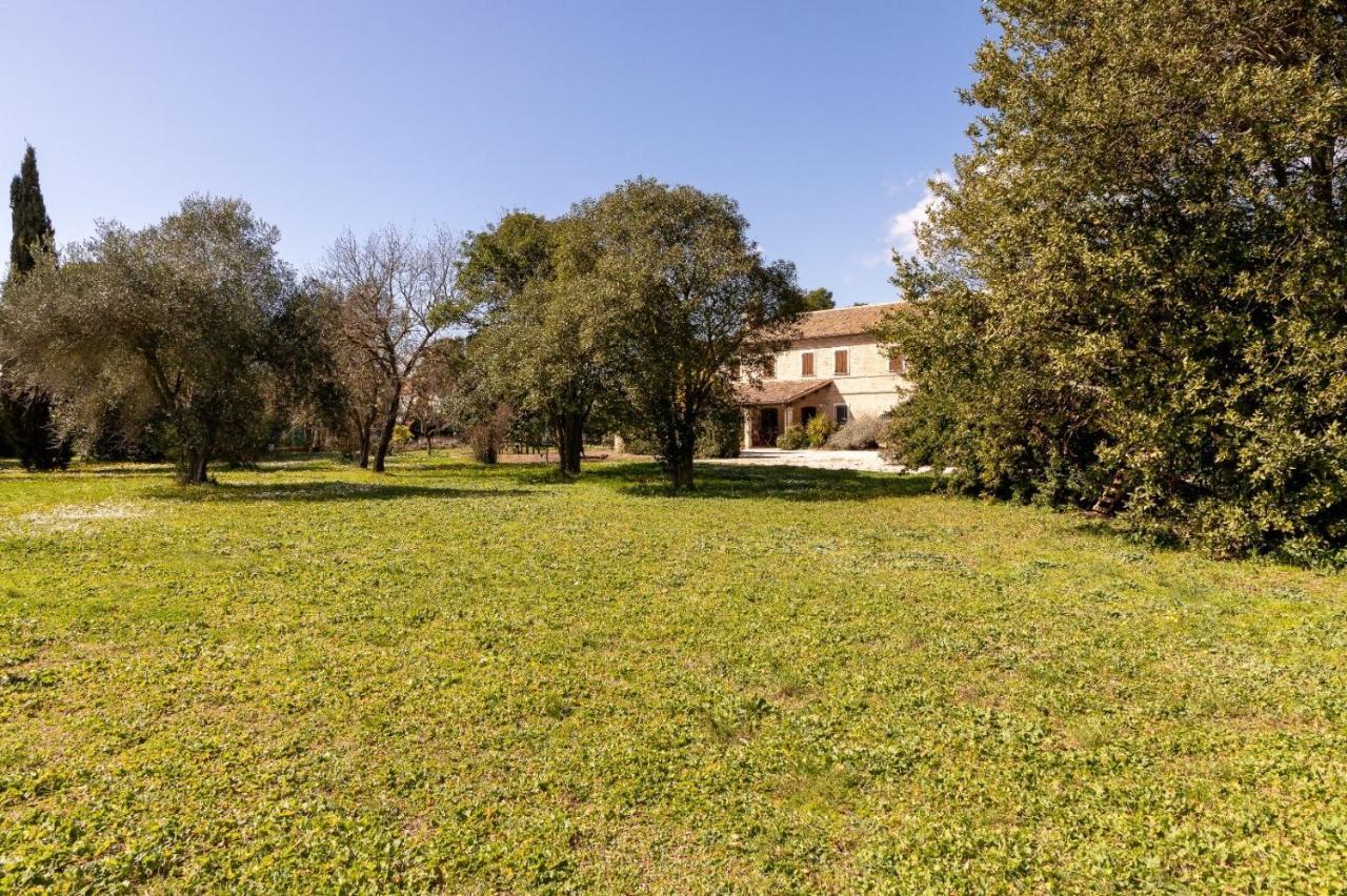 Villa Martina Fano Exterior foto